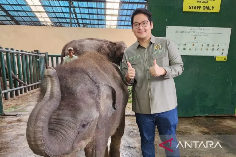 Komisi IV DPR RI dukung pengembangan biobanking di Taman Safari